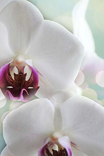 Orchid Notebook