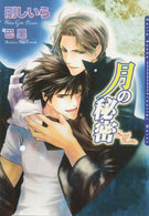 Secret Moon: Yaoi (Yaoi Novels)