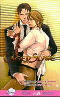 Caged Slave (Yaoi Novel)